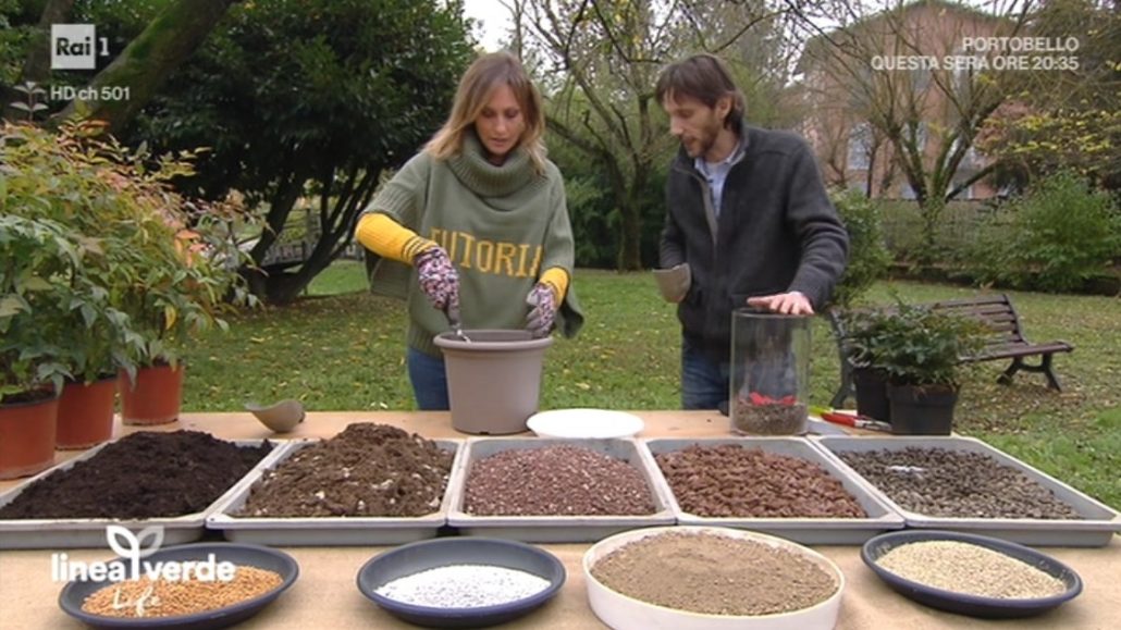 Linea Verde Life Puntata 24 novembre 2018 Mete, temi.