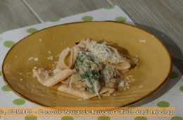 pennoni con melanzane
