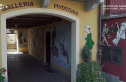radici