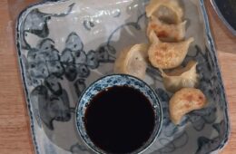 gyoza con verdure di Aurora Cavallo