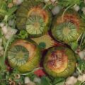 zucchine ripiene di Giusina Battaglia