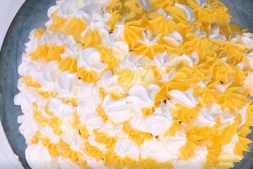 zuccotto al limone di Daniele Persegani