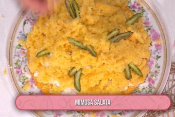 mimosa salata di Daniele Persegani
