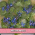 borragine in raviolo di Enrico Croatti