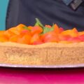 crostata fresca alle albicocche