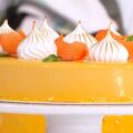 dolce alle albicocche di Sal De Riso