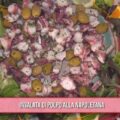 insalata di polpo alla napoletana di Antonio Paolino