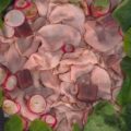 vitello tonnato di Enrico Croatti