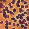 schiacciata toscana all'uva di Fulvio Marino